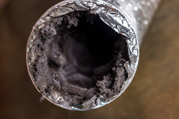 Best Air Duct Mold Removal  in Braddock Hills, PA