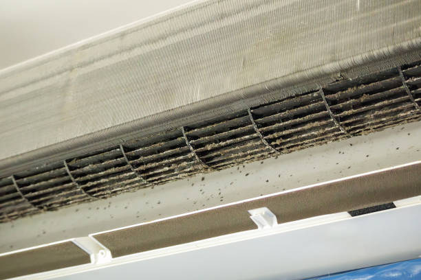 Best Emergency Air Duct Cleaning  in Braddock Hills, PA